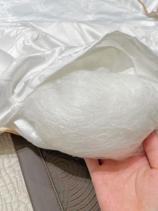 【CA加拿大鹅同款】贡缎蚕丝棉面料被，柔软舒适，暖和不压身，两个重量可选 商品图8