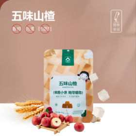【江湖小郎中】五味山楂条100g
