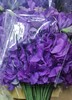 配花 | 香豌豆紫色（轻微掉瓣属于正常现象，没掉完不售后） 商品缩略图0