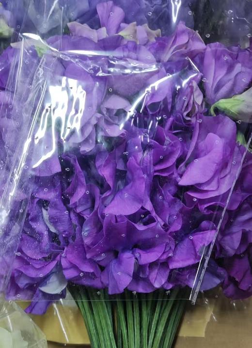 配花 | 香豌豆紫色（轻微掉瓣属于正常现象，没掉完不售后） 商品图0