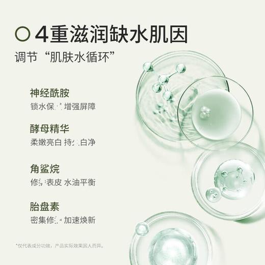 【跨境】Bb LAB苾莱宝面膜新版175g 商品图2