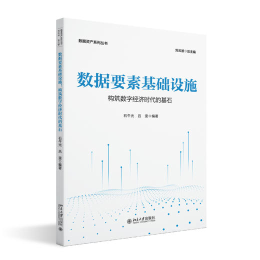数据要素基础设施：构筑数字经济时代的基石 石午光 吕雯 编著 北京大学出版社 数据资产系列丛书 商品图0