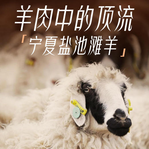 国家地理标识产品，真正的盐池滩羊来啦，检测SGS30项激素等0检出现，宰现发鲜羊肉吃手抓超过瘾的盐池羔羊肉 商品图0