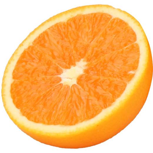 九月红果冻橙 商品图1