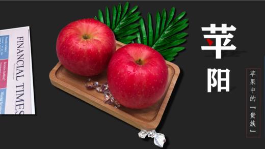 【河北农垦】【保垦甄选】红富士苹果 平安果 一箱12枚 果径80-85 约5.5斤 商品图4