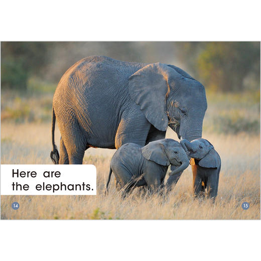 多维阅读预备级下 商品图4