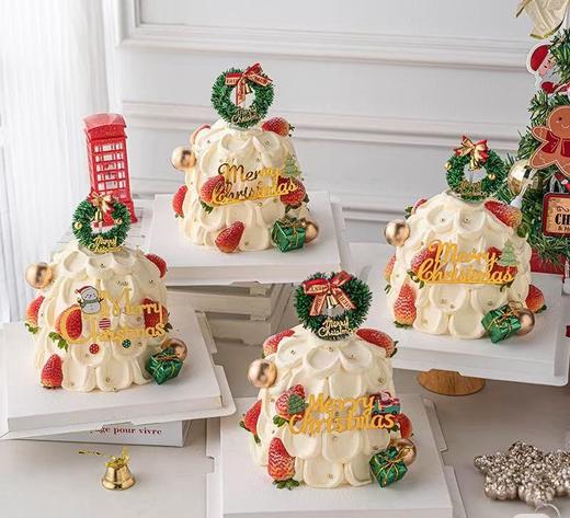 圣诞蛋糕1 商品图0