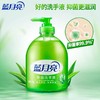 蓝月亮芦荟洗手液500g 商品缩略图2