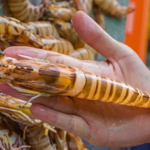 东山岛中秋海鲜礼盒 商品图3