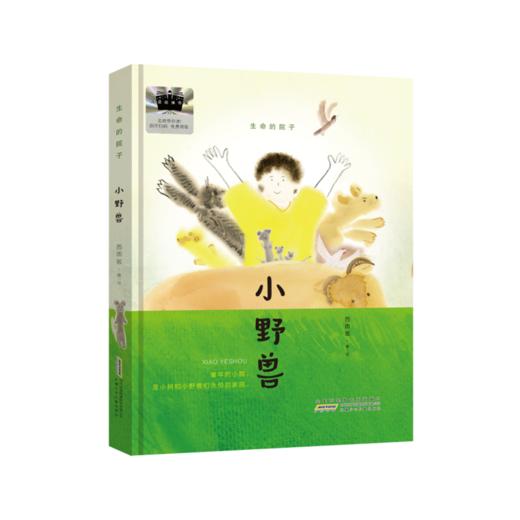 祖庆说|百班千人2025寒假书单三年级：桦树鱼 每一片叶子都是馈赠生命的院子小野兽 穿堂风 黄瓜国王 大自然里的故事草尖上的老鼠（按需自选加入购物车） 商品图3