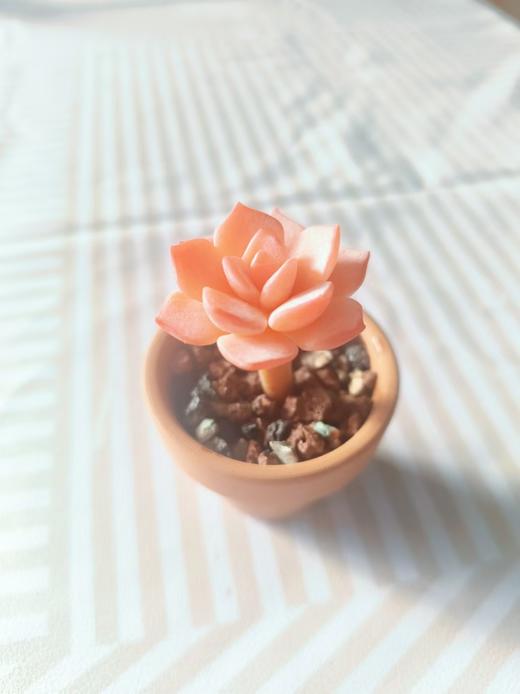 大地软陶单头 商品图0