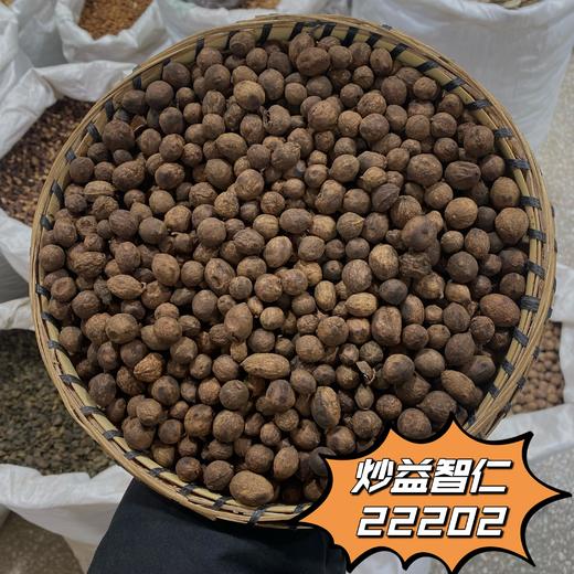 益智仁  盐益智仁 益智仁米 当季新货 农家生晒中药材 商品图4