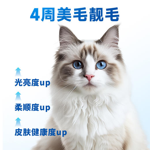 深海鱼油猫咪用狗狗犬用防掉毛宠物专用卵磷脂美毛220g 商品图2