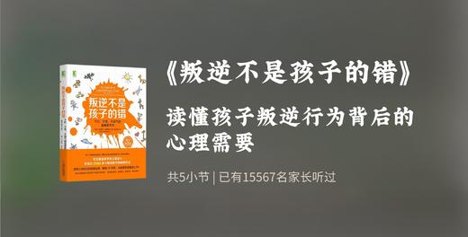 叛逆不是孩子的错-第五节 商品图0