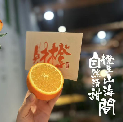 😋好吃的橙子
糖露·财橙🍊到货‼️
巨好吃😋，纯甜口感，汁水充足💪
橙香浓郁，冬季必须补补维生素C。
爱吃橙子的一定不能错过。 商品图2