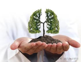  节必清的核心奥秘：源自东西伯利亚的珍稀馈赠 