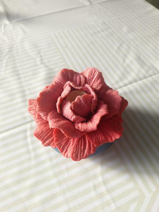 大地软陶牡丹扩香石盆栽10厘米 商品图0