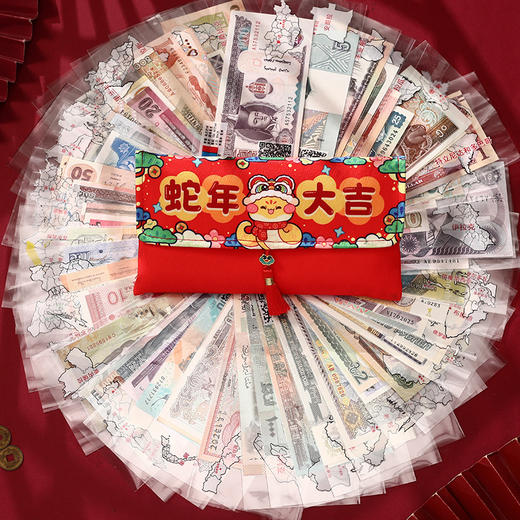 热卖中！！2025年金蛇衔财创意国外纪念币红包 扫码看世界 50国100张 100国100张 宫墙包 金蛇包 买就赠：1张面值纸币+蛇年金箔卡+防伪灯 商品图7
