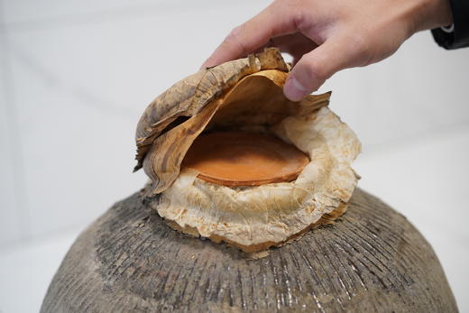 【原坛直出】2004/2005/2007/2009年塔牌原坛黄酒（23升装） 商品图5