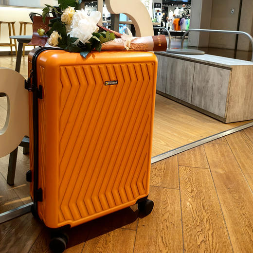 凌秀President轻便结实耐用拉链行李箱PAE139-2 商品图2