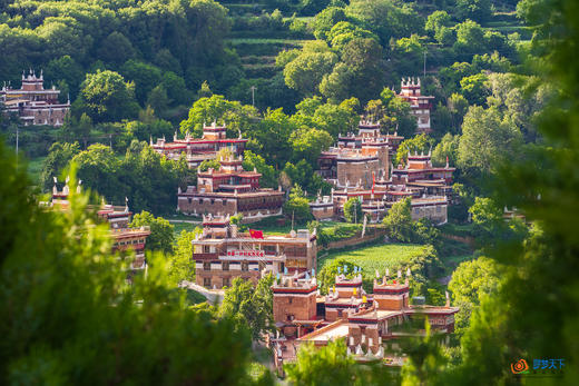 3月23日确定出发，秘境318川藏花开、金川梨花、林芝桃花、索松村、然乌湖、来古冰川6-12-16天摄影 商品图6