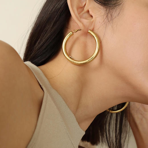 Retro Chic | 金丝耳圈&藤蔓蛇骨长链套装 商品图2