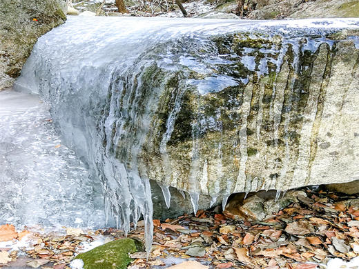 【藤萝谷冰瀑1日】原始次森林-藤萝冰河冰瀑冷水峪-河防口-九谷口8公里<初级强度> 商品图2
