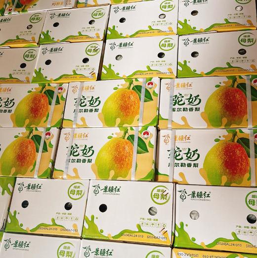 库尔勒驼奶香梨 约4.5斤/箱  | 水果 商品图2