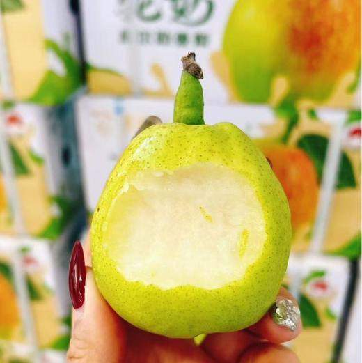 库尔勒驼奶香梨 约4.5斤/箱  | 水果 商品图0