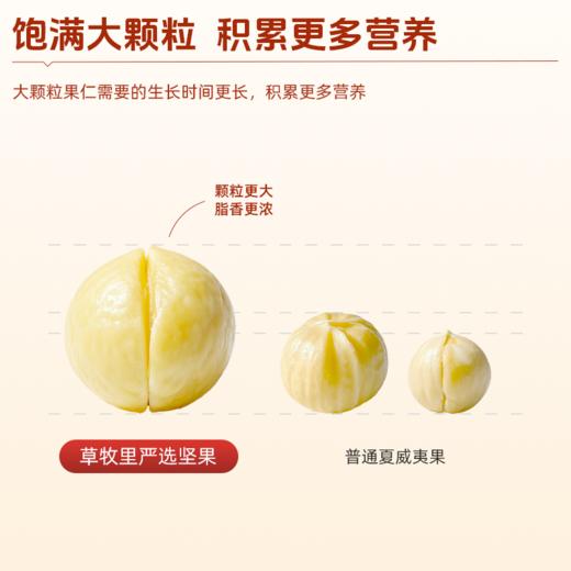 【科学定量配比】草牧里 每日坚果 15g*30袋/盒 控温烘烤鲜香酥脆 （早餐好物）【0315晚直播】 商品图2