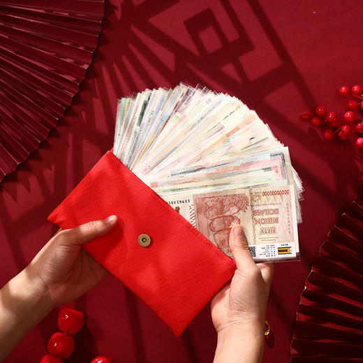 热卖中！！2025年金蛇衔财创意国外纪念币红包 扫码看世界 50国100张 100国100张 宫墙包 金蛇包 买就赠：1张面值纸币+蛇年金箔卡+防伪灯 商品图3