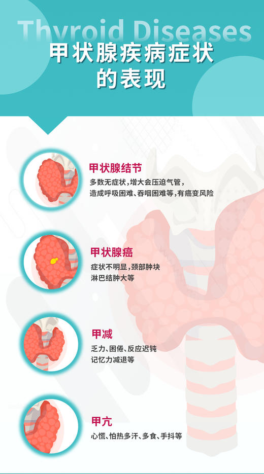 甲状腺专项筛查套餐 商品图2