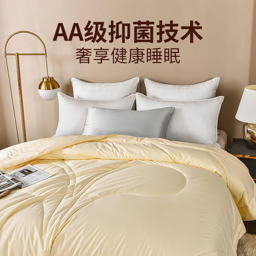 雅芳婷抑菌防螨纯桑蚕丝冬被冬季被子冬天蚕丝被保暖被芯连芯扣 商品图3