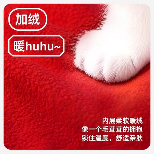 【儿童贺岁服 49.9元任选2件】蛇年大吉 新年行大运 15色 一体绒保暖卫衣100-150码 商品图2