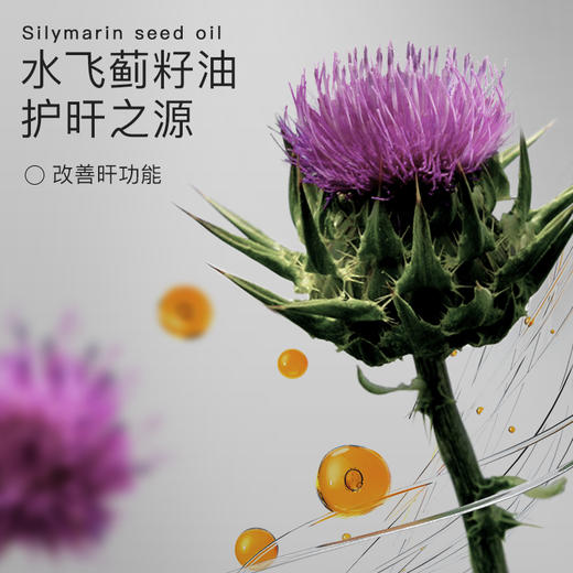 逢年过节送礼佳品，NA水飞蓟籽护旰胶囊60粒礼盒装  “肝” 净无忧，活力满格 “不掉线” 商品图3