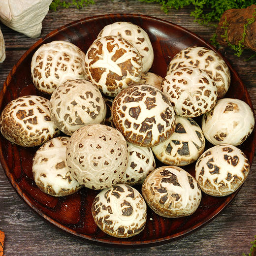 卡宴野趣珍味山珍干货礼盒538g 商品图4