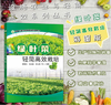绿叶菜轻简高效栽培（彩图版） 【官方正版，可开发票，下单时留开票信息和电子邮箱】 商品缩略图0