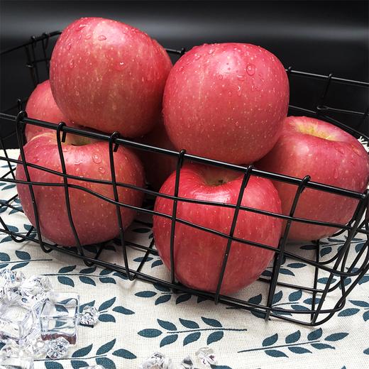 【河北农垦】【保垦甄选】红富士苹果 平安果 一箱12枚 果径80-85 约5.5斤 商品图1