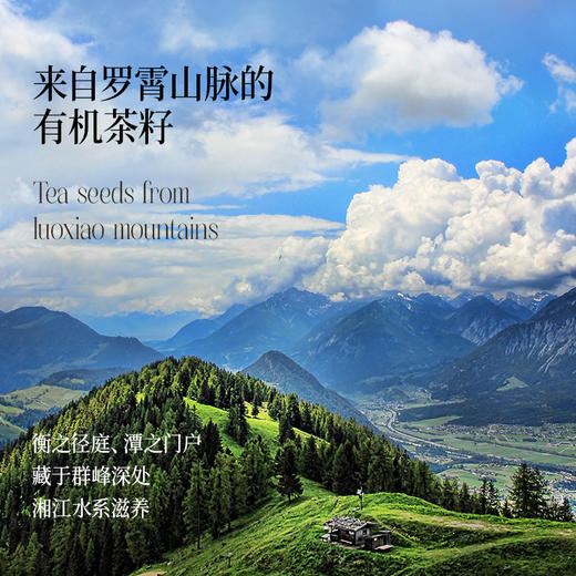 【OMEGA9系列】0反式脂肪酸热炒有机山茶籽油500ml*3礼盒装-会员专享 商品图3