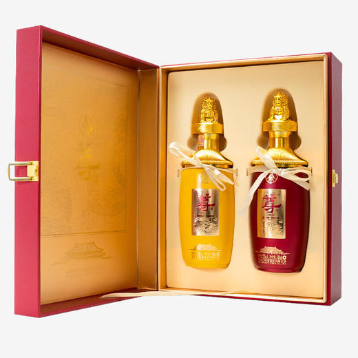 五粮液尊酒尊礼52°500ml*2瓶/礼盒【LXGWCJ5.0】 商品图4