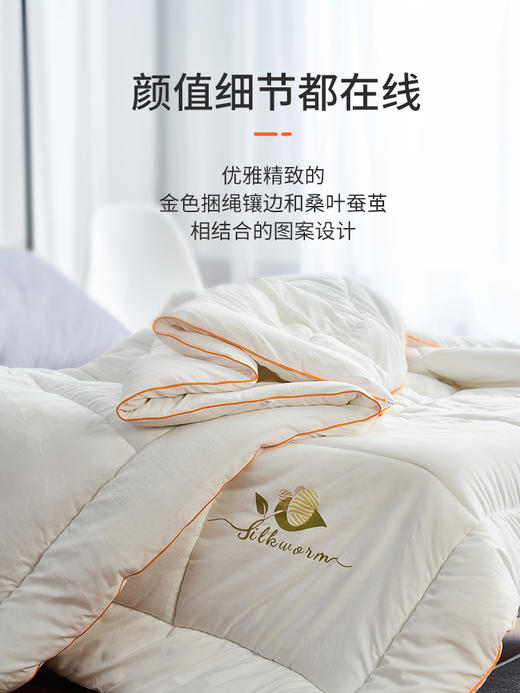 佳丽斯桑蚕丝被子保暖单人被芯温暖加厚冬被 商品图4