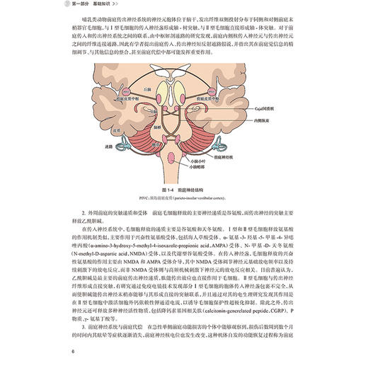 耳源性眩晕新进展 李华伟 聂国辉主编 前庭解剖与功能 耳源性眩晕常见及疑难疾病 眩晕相关的耳部肿瘤9787117359320人民卫生出版社 商品图4