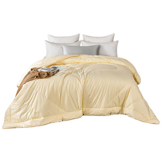 雅芳婷抑菌防螨纯桑蚕丝冬被冬季被子冬天蚕丝被保暖被芯连芯扣 商品图5