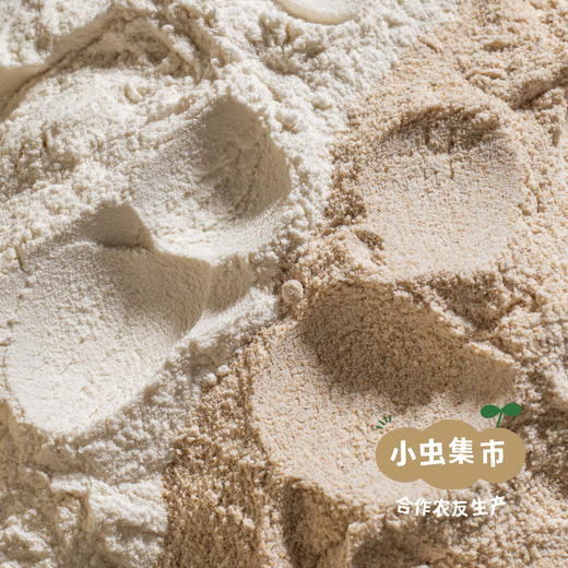 自然农耕掖青麦面粉 5斤/10斤（白面粉/全麦面粉）| 合作农友生产，产自北京，生产者：王东 *【公平贸易农人定价】 商品图1