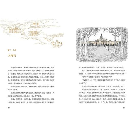 【书香卡专区】魔法象·故事森林  非凡十二岁 商品图2