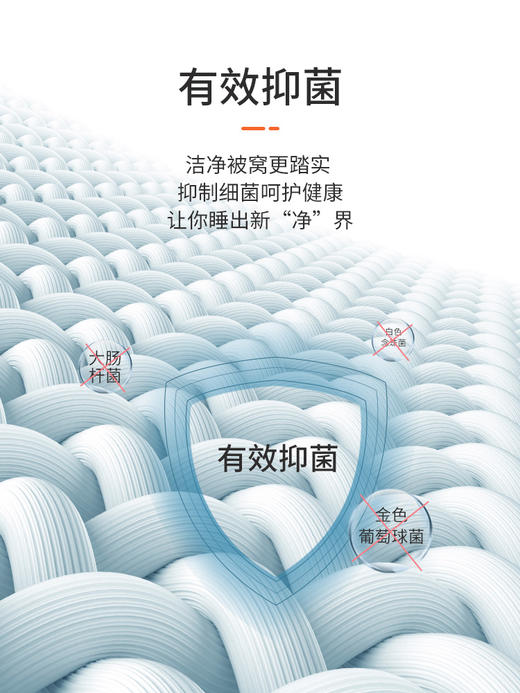 佳丽斯桑蚕丝被子保暖单人被芯温暖加厚冬被 商品图1