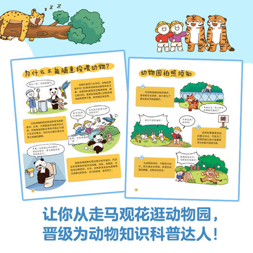 一起去逛动物园 商品图4
