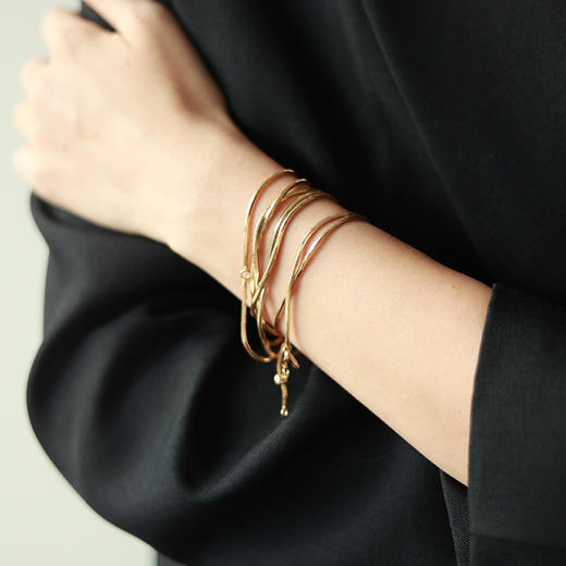 【王天辰&侯佩岑&沈梦辰&刘孜&刘忻&刘恋&王悦伊同款】Garden of Eden 伊甸园系列 | 金色藤蔓蛇骨长链 商品图3