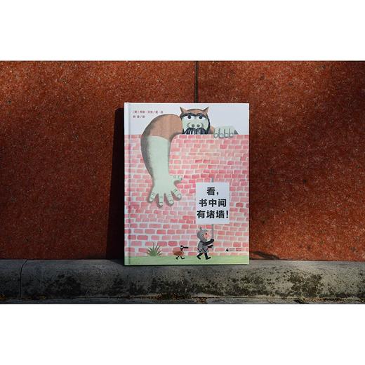【书香卡专区】魔法象 图画书王国   看，书中间有堵墙 商品图4