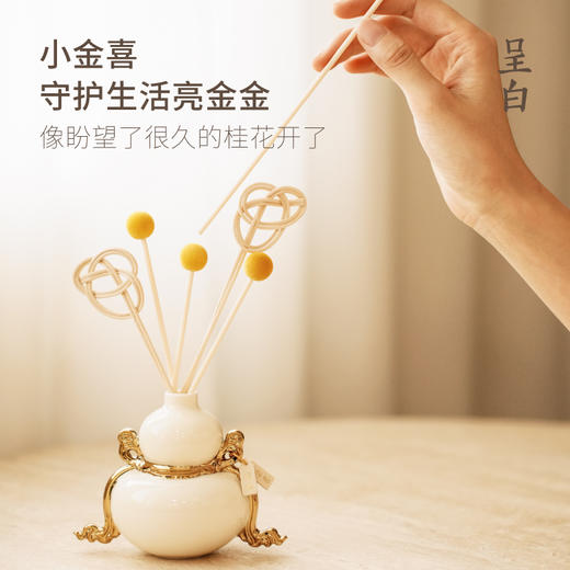呈白 小金喜·东方葫芦香薰香氛礼物礼盒 商品图3